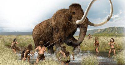 Меньшая добыча, лучшее оружие: исчезновение крупных животных двигало эволюцию человечества вперед