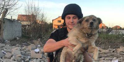 Из-под завалов разрушенного ударом РФ дома в Сумах спасли собаку — видео