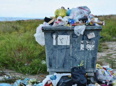 В оккупированном Луганске придумали, как справляться с гигантскими свалками мусора