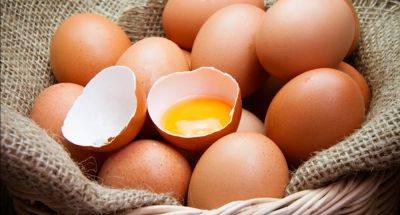 Щоб не було отруєння: як розпізнати зіпсовані курячі яйця