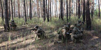 Силы обороны продолжают наступать на Мелитопольском направлении — Генштаб