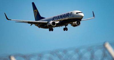 "Остановите загрязнение": эко-активисты забросали пирогами главу авиакомпании Ryanair (видео)