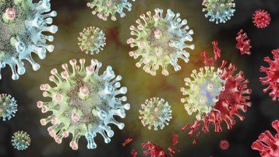 Новый вариант коронавируса «Пирола». Нужно ли его бояться?