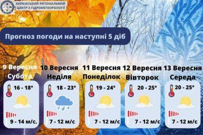 Какой будет погода в Харькове в эти выходные и на следующей неделе