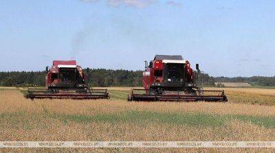 В Беларуси намолочено свыше 7,1 млн тонн зерна с учетом рапса