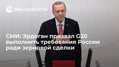 СМИ: Эрдоган призвал G20 выполнить ряд требований России ради зерновой сделки