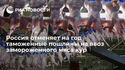 Россия отменяет на год пошлины на ввоз до 140 тысяч тонн замороженного мяса кур