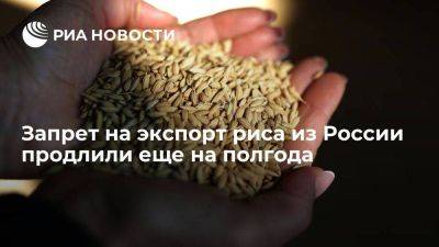 Запрет на экспорт риса из России продлили до 30 июня 2024 года
