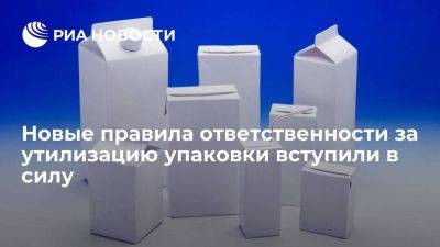 В России вступили в силу новые правила ответственности за утилизацию упаковки