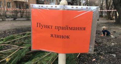 Куда сдать в Одессе после праздников старую елку | Новости Одессы