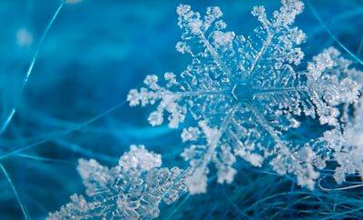 Тайны зимней красоты: ученые рассказали, почему каждая снежинка уникальна