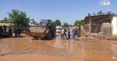 Эмомали Рахмон - «Пока не смыло»: как в Рушане борются с наводнениями и сезонными паводками - dialog.tj - Таджикистан - район Рушанский