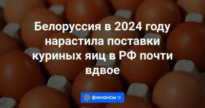 Белоруссия в 2024 году нарастила поставки куриных яиц в РФ почти вдвое