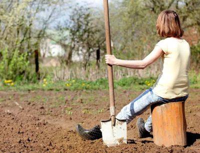 Метод "одной ложки": что нужно сделать, чтобы земля на огороде стала воздушной и плодородной - hyser.com.ua - Украина