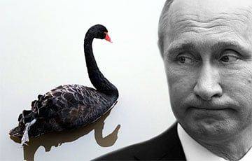 Вадим Денисенко - Путин - Путин ждет «черных лебедей» - charter97.org - Россия - Белоруссия - Путин