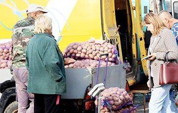 Сколько белорусы могут заработать на фруктах и овощах в январе