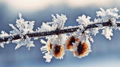 "Ночные морозы набирают обороты": прогноз погоды на 9 января
