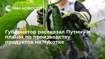 Кузнецов: Чукотка намерена в 3,5 раза увеличить производство овощей к 2028 году