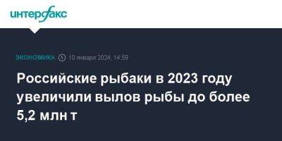 Илья Шестаков - Российские рыбаки в 2023 году увеличили вылов рыбы до более 5,2 млн т - smartmoney.one - Москва - Россия - Российские