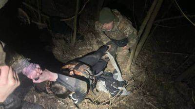 С начала полномасштабной войны погибли 19 мужчин, пытавшихся переплыть Тису - pravda.com.ua - Украина - Сумы