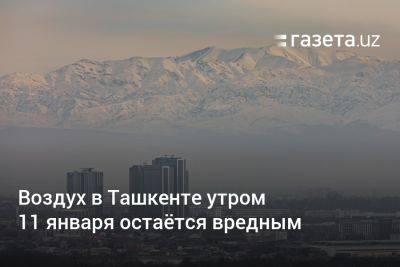 Воздух в Ташкенте утром 11 января остаётся вредным