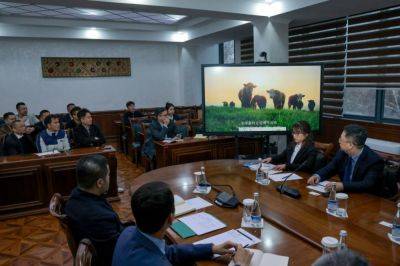 Китайские бизнесмены предложили свои проекты по переработке мусора и решению проблемы загрязнения воздуха в Узбекистане