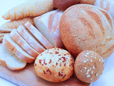 Содержит опасные бактерии: какой хлеб может нести угрозу для здоровья - ответ врача - ukrainianwall.com - Украина