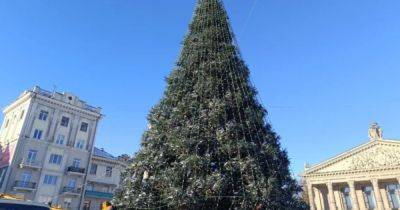 "Люди хотят праздника": в Тернополе разобрали новогоднюю елку, но по требованию горожан вернули обратно