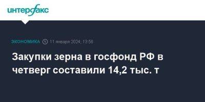 Закупки зерна в госфонд РФ в четверг составили 14,2 тыс. т
