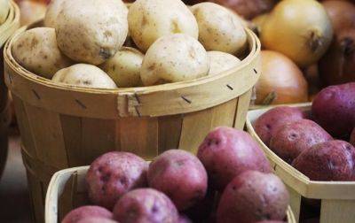 Украина начала импортировать картофель