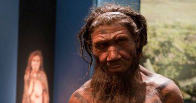 От курения до загара. Топ-6 самых странных черт, которыми нас наделила ДНК неандертальцев - focus.ua - Украина - Лондон