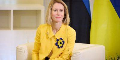 Яркий знак поддержки. Премьер-министр Эстонии Кая Каллас выбрала одежду в цветах украинского флага для встречи с Зеленским