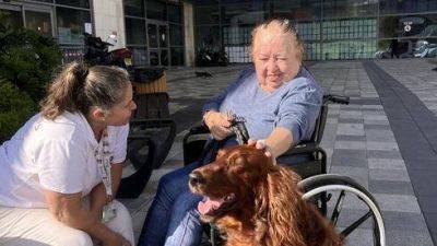 В больнице "Ха-Эмек" приняли на работу трех собак