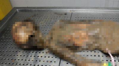 Израиль покажет в Гааге расчлененное тело ребенка, убитого ХАМАСом - vesty.co.il - Израиль - Тель-Авив - Юар - Гаага