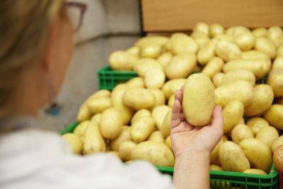 Украина импортирует картофель из Польши – цены стремительно подскочили вверх