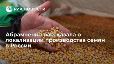Абрамченко: европейский бизнес готов локализовать производство семян в России