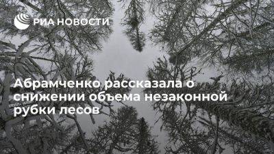 Абрамченко: объем незаконной рубки лесов в России в 2023 г снизился на 16%