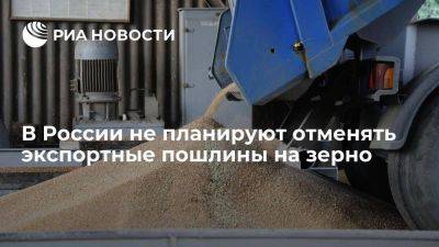 Абрамченко: власти не планируют отменять экспортные пошлины на зерно