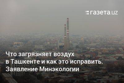 Что загрязняет воздух в Ташкенте и как это исправить. Заявление Минэкологии