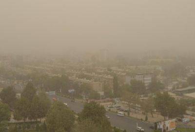Как власти будут решать проблему воздуха в Ташкенте. Предложения и конкретные планы Минэкологии