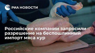 Российские фирмы запросили разрешение на беспошлинный импорт 226 тонн мяса кур