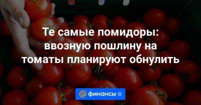 Те самые помидоры: ввозную пошлину на томаты планируют обнулить