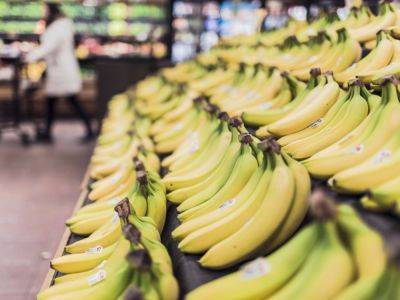 Исчезнут ли с узбекских прилавков бананы? В одной из торговых сетей рассказали о ситуации с поставками на фоне напряженности в Эквадоре