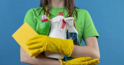 Забудьте эти правила: 11 мифов об уборке, которые могут принести больше вреда, чем пользы