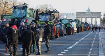 Берлинцы в солидарность с протестующими фермерами, поддерживают их продуктами питания