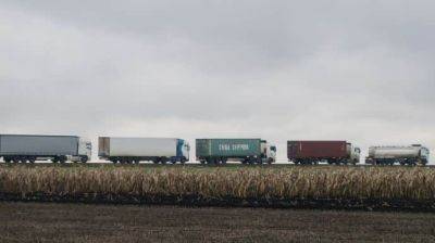 В Румынии фермеры блокируют движение грузовиков на пункте пропуска с Украиной
