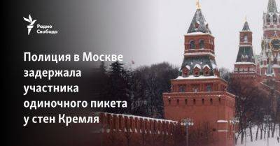 Полиция в Москве задержала участника одиночного пикета у стен Кремля