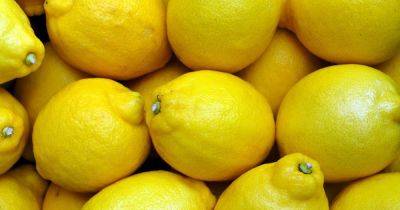 Лечат мочекаменную болезнь: какая польза лимонов для здоровья и кому их не стоит употреблять - dsnews.ua - Украина