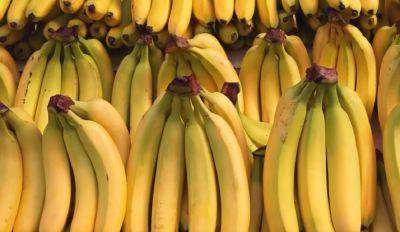 Это весьма резонно: названы причины, почему нельзя потреблять бананы каждый день. И врачи об этом предупреждают редко