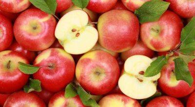 Будут свежими и ароматными всю зиму: как сохранить яблоки до весны - ukrainianwall.com - Украина